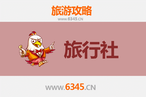 高雄新兴本地旅行社推荐：在地人私藏的深度体验指南
